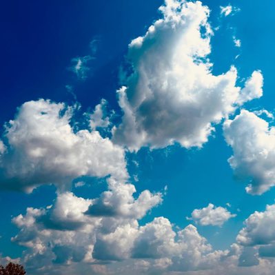UchePhilips3's tweet photo. #NewProfilePic https://t.co/nNGgwqPK0l