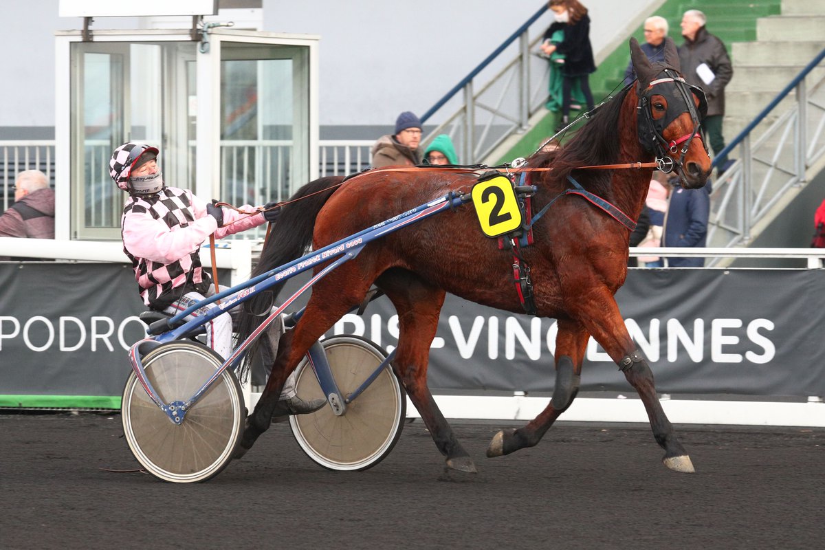 equidia's tweet photo. 🏆 Working Class Hero et Harmonista ont également brillé dans cette journée du Prix d'Amérique #LegendRace.
Le premier a brillé dans le Prix Jean René Gougeon (Gr.III) tandis que la deuxième a décroché le Prix Helen Johansson suite à la disqualification de Jeegha Pride.