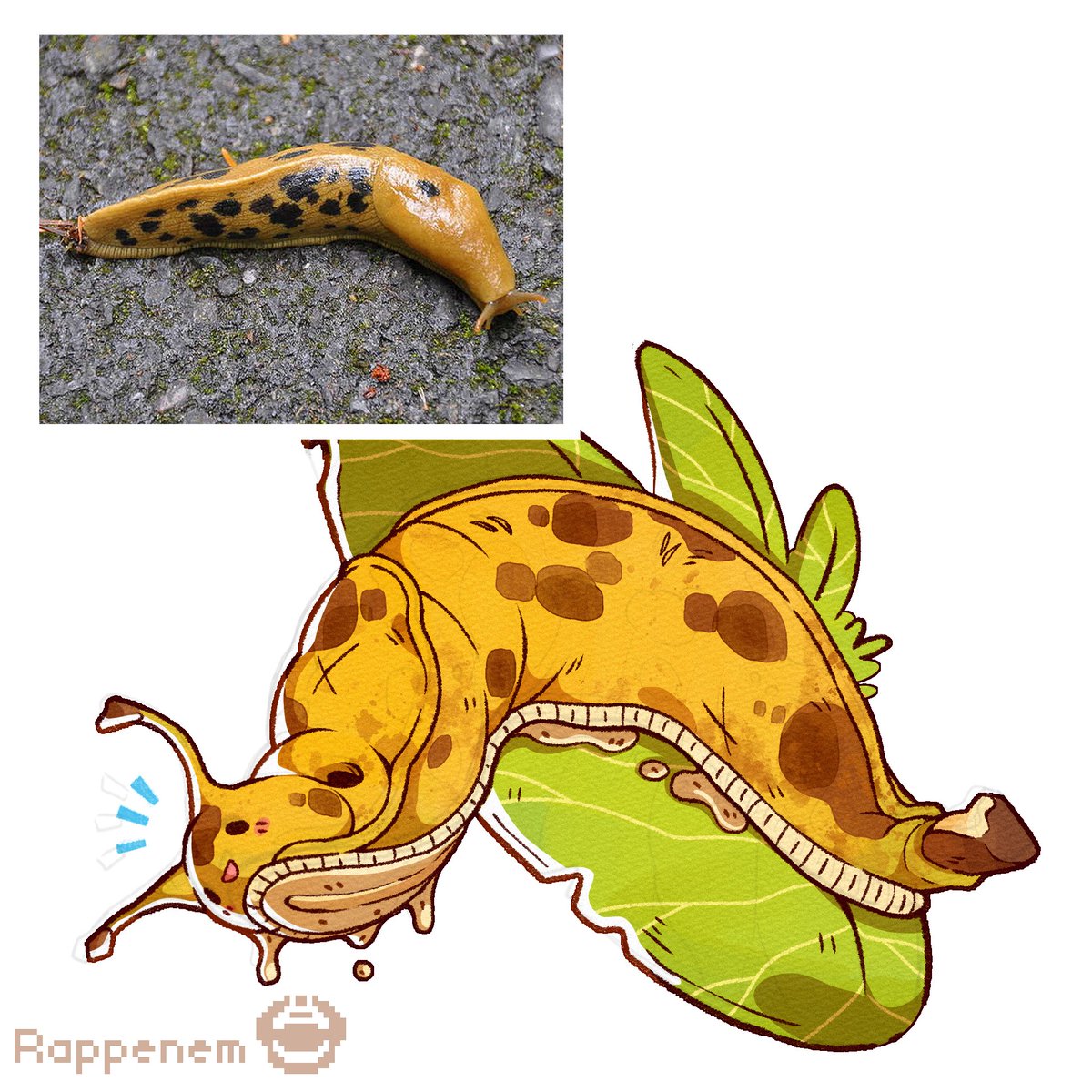 Banana slug?
