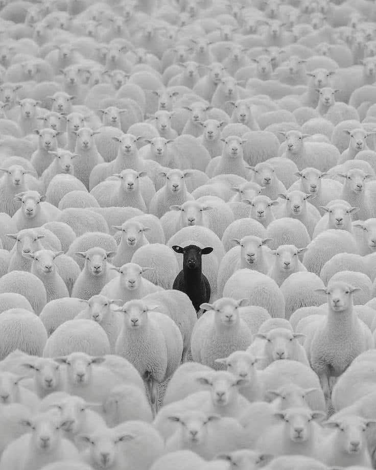 Hold your line. 

“He was a lonely ghost uttering a truth that nobody would ever hear. But so long as he uttered it, in some obscure way the continuity was not broken. It was not by making yourself heard but by staying sane that you carried on the human heritage.”
— George Orwell