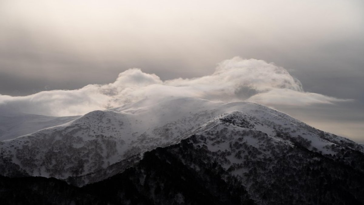 ratchild's tweet image. 