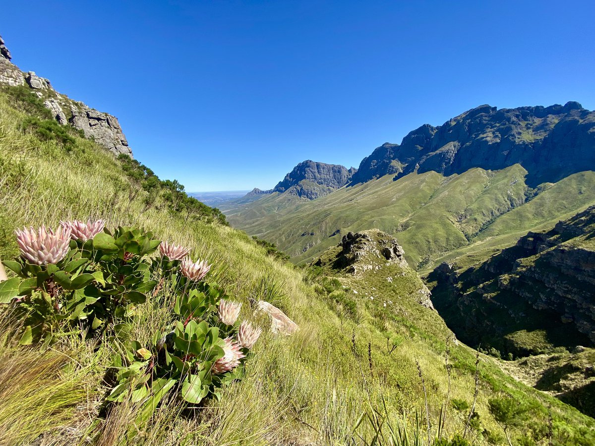 Cilnette tweet media