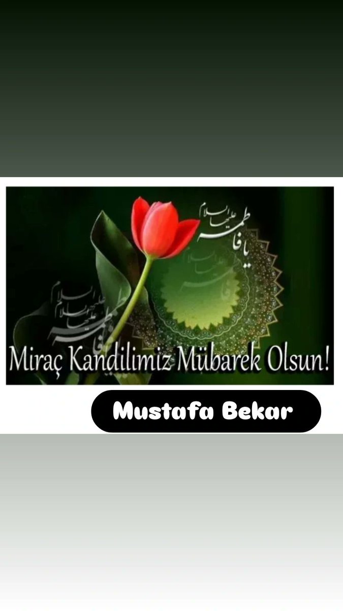Mustafa Bekar (@mustafa_be20915) on Twitter photo 