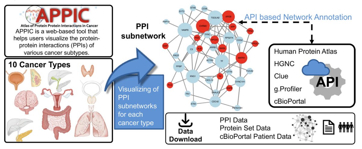 BrownMedStuRes's tweet photo. ✨🧬The Atlas of Protein–Protein Interactions in Cancer (APPIC) is a novel webtool for cancer research developed by a computational genomics lab at Brown 🐻 including Benjamin Ahn, MD26!🧑‍🔬📈

Read the full study here: https://t.co/aJCUemyWL8 https://t.co/qFOfWyuUSf