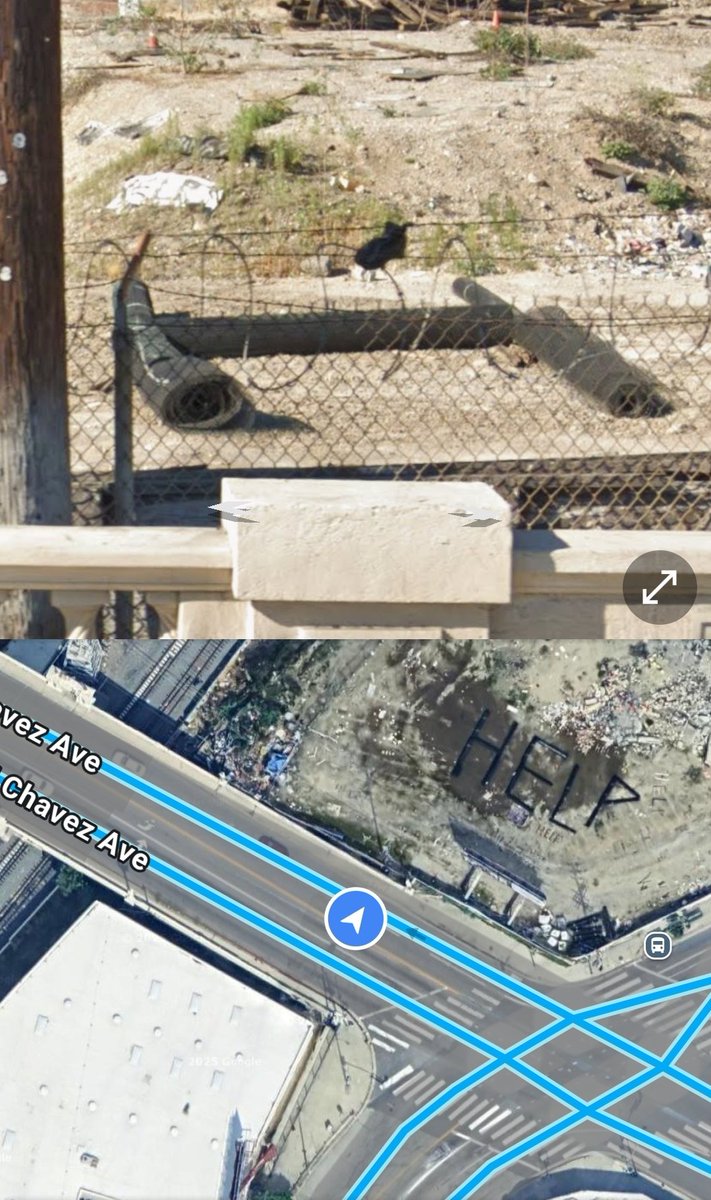 Fake Name tweet media