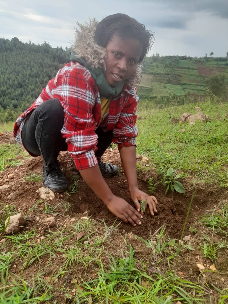 NshElie's tweet image. With #WeGotYourBack and #unicefrwanda
@GisagaraDistr
Green rising ambassadors continues to participate in tree planting and community work 
In order to continue to protect our future 🙏
When you plant a tree, you give life🫶🫶