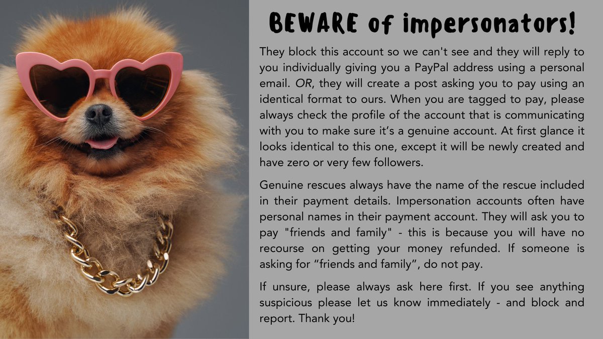 Keith Olbermann's Dogs tweet media