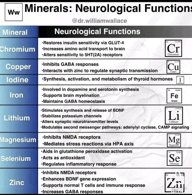 NEUROLOGICAL FUNCTIONS OF MINERALS