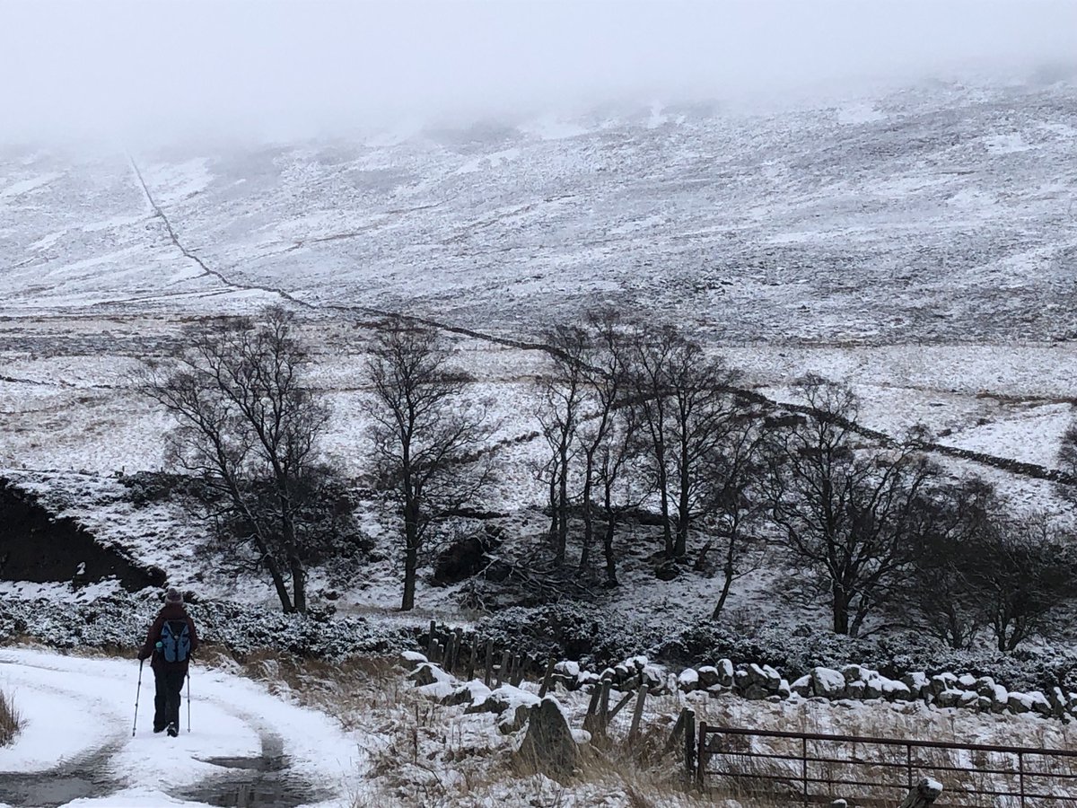 LandscapeAngus's tweet photo. Lines in the snow #GlenCaenlochan #Angus https://t.co/utioMVPsoD