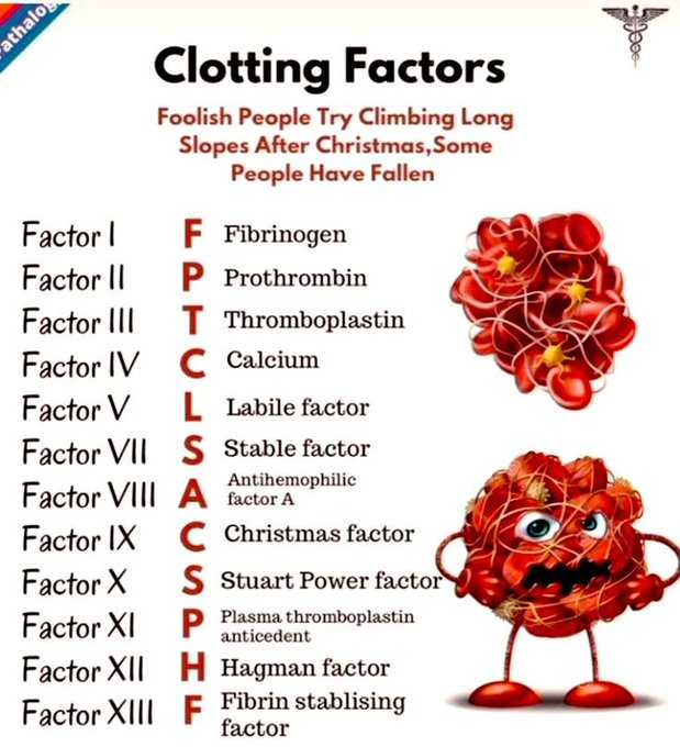 CLOTTING FACTORS
