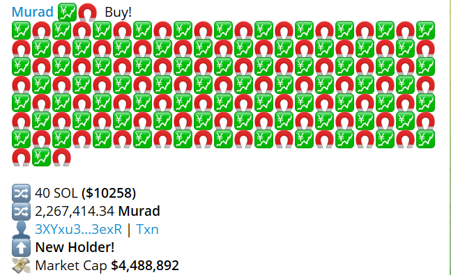 NoobXSolana's tweet photo. So many new big holders on $MURAD.

We are cooking fr 🔥 https://t.co/9gXxnmQua8