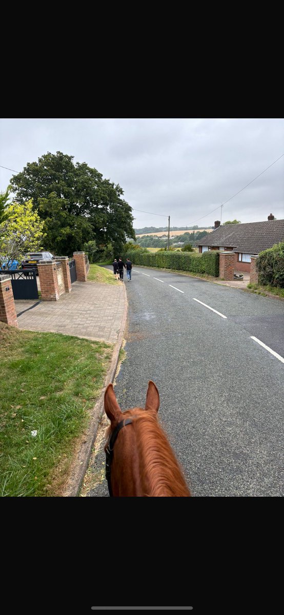 David Atherton tweet media