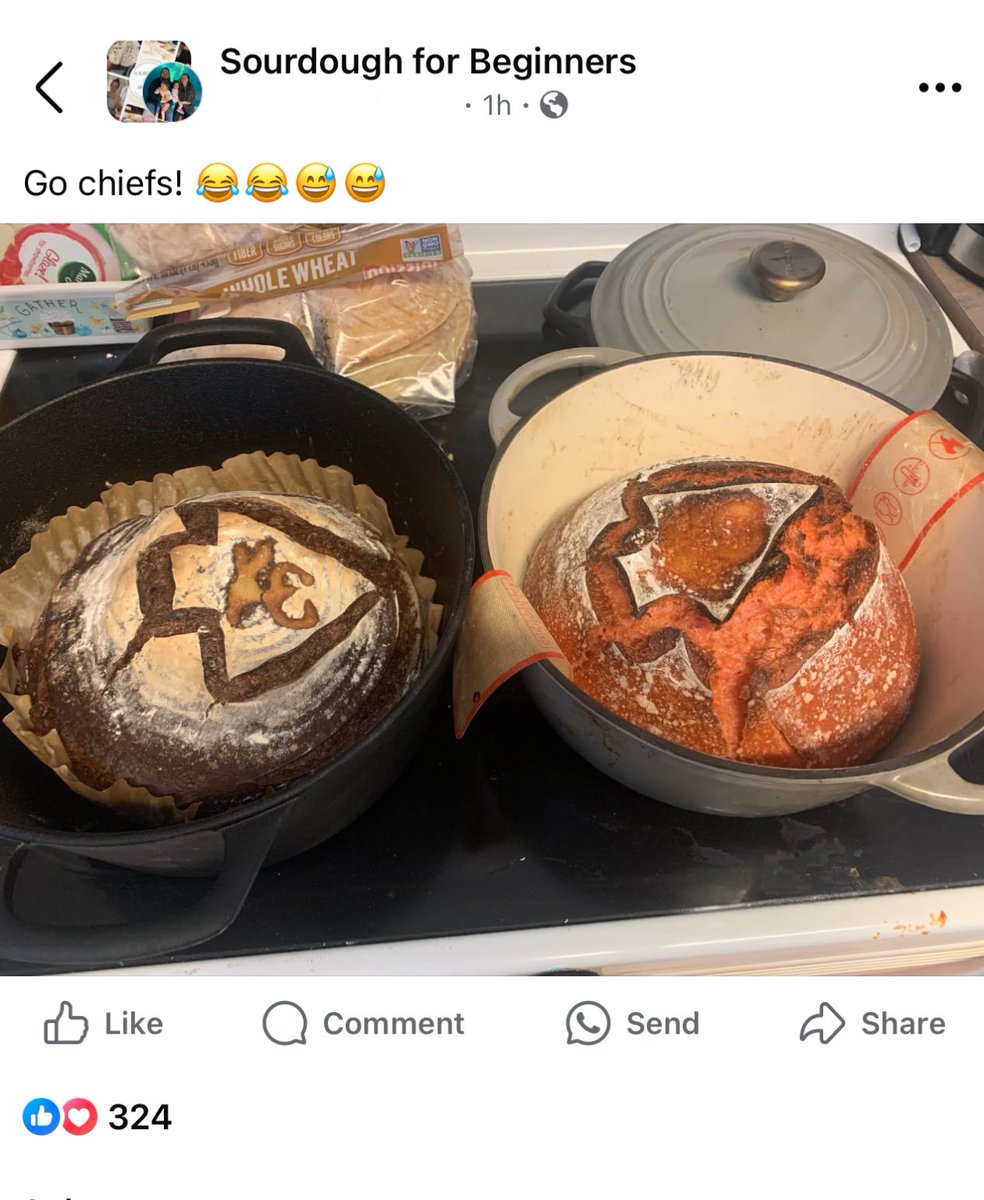 ape attack survivor tweet media