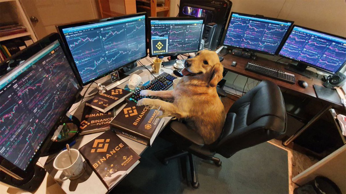 DisoBailey's tweet photo. @KienNguyen_NFT What charts you trading today Kien? https://t.co/1PfLPN0hq3