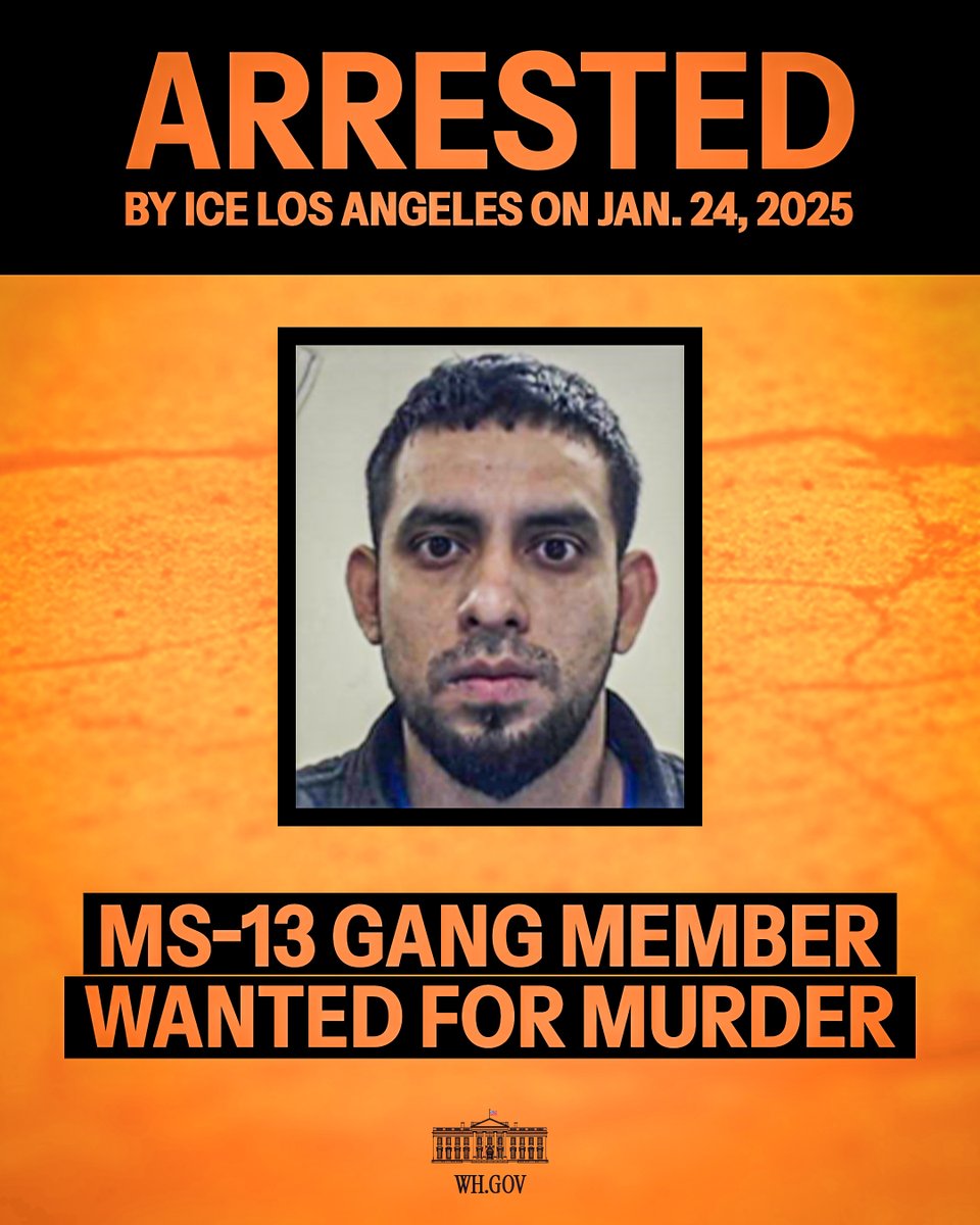 MAKE AMERICA SAFE AGAIN: An MS-13 gang member from El Salvador