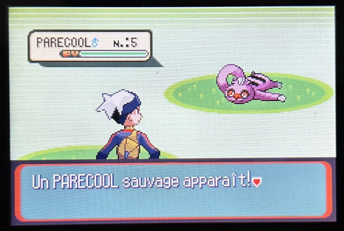 Parecool shiny à la 4e phase seulement et un total de 25 224 rencontres ! Il flashe encore plus que ce que je pensais, et c’est vraiment un très beau shiny