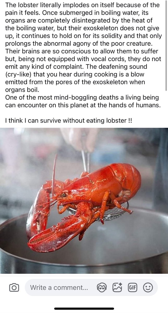 imsojuliia's tweet photo. Yeah, I think that’s enough Facebook for today https://t.co/jm1bcShyoj