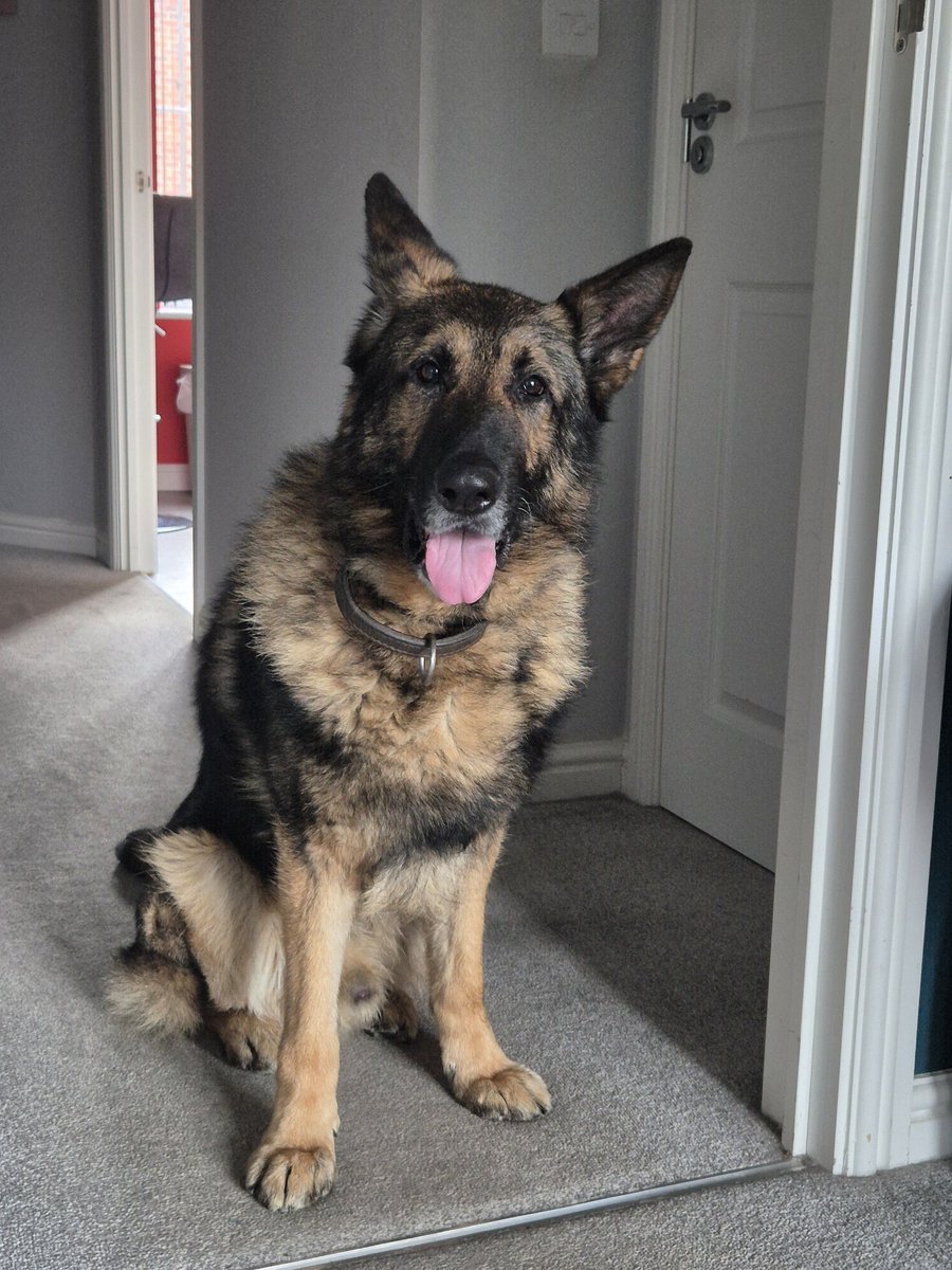 RPD Pacer tweet media