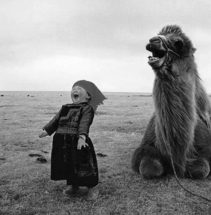 kawishWriter's tweet photo. Some Funny Pictures That Are Worth Stoping Whatever You’re Doing Right Now Thread 🧵 https://t.co/Dlc3ioU19f