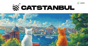 Edubernardorx's tweet photo. CATSTANBUL ends today and begins a new era at Jupiter  💶💶@JupiterExchange https://t.co/nxzyo7ipuB