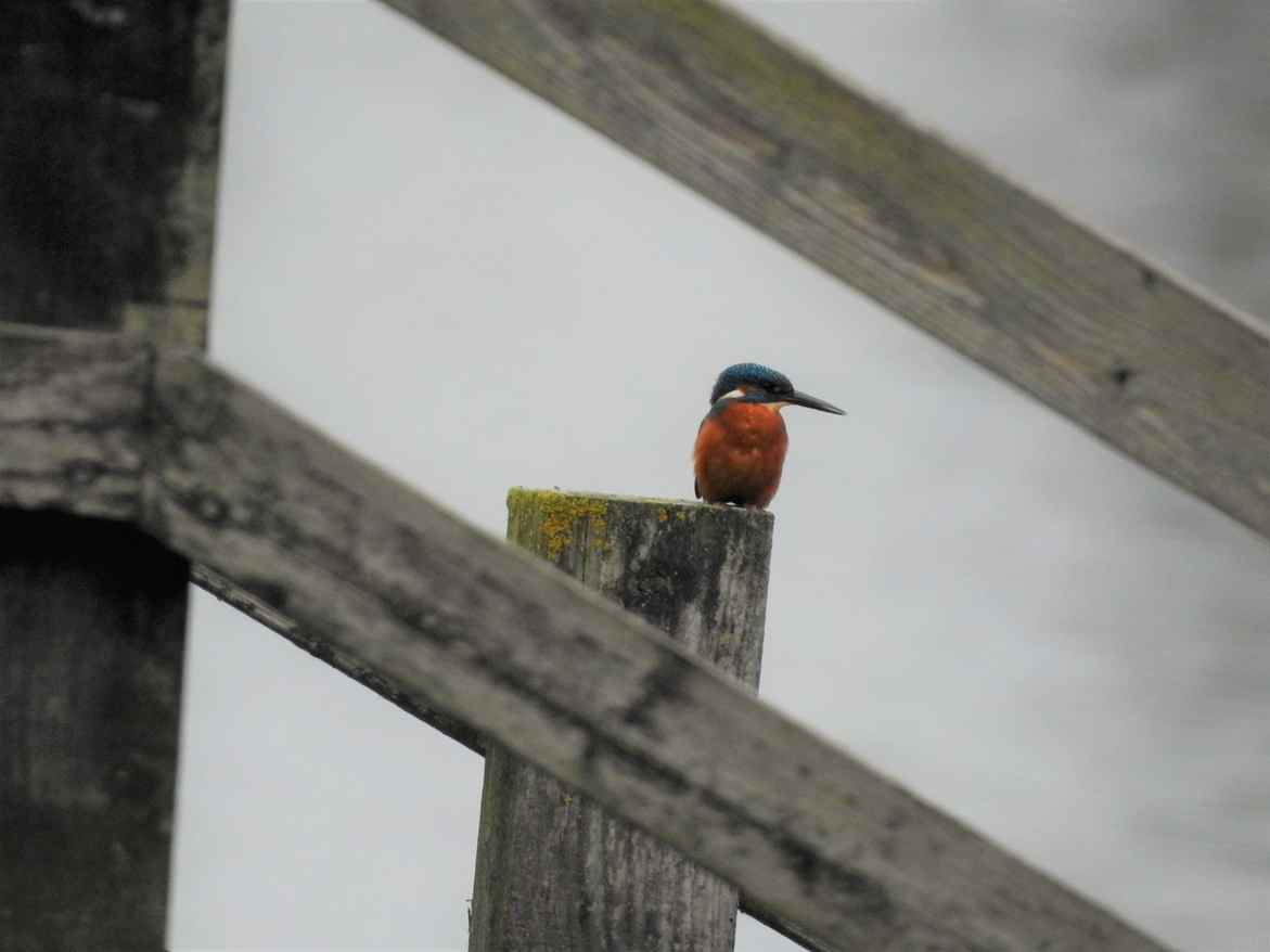 Step right in and discover Gércio Bernardo Chan!