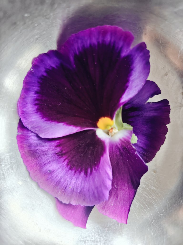 desi_rr's tweet image. सुनो,
समेट लिया हुस्न तेरा, कब्जा ली रुह तेरी।।
अब जाऐं मिट भी, तो भी जरूर मिलेगें अगले जन्म।।

#premkahaani #roohkibaat #raat