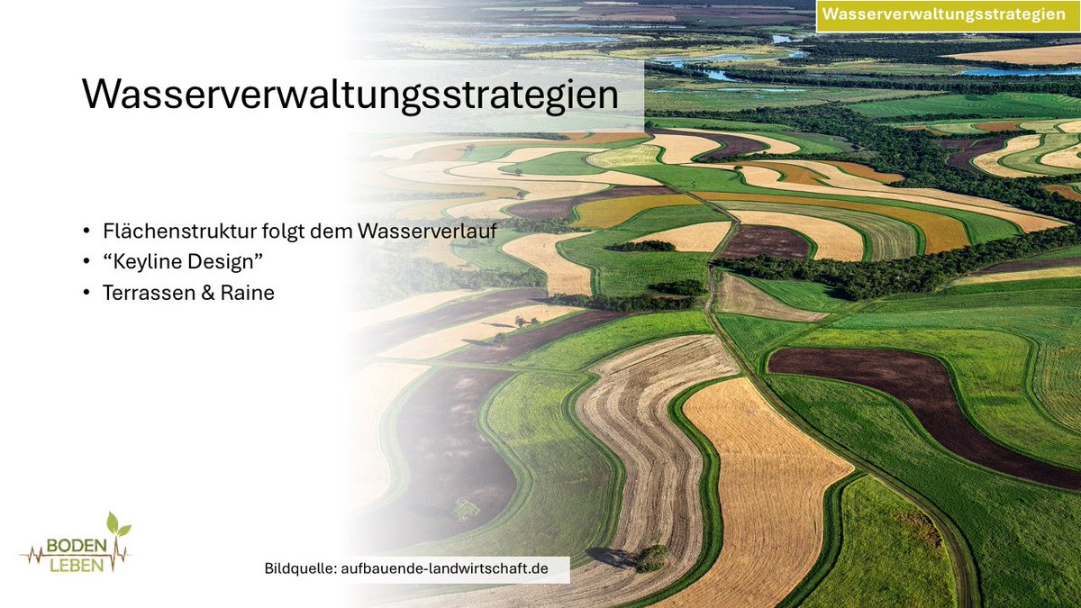 FWinkelhofer's tweet photo. Als Einzelbetrieb de facto nicht umsetzbar und auch betriebswirtschaftlich schwierig umsetzbar sind Anpassungen der #Flächenstruktur an den Wasserverlauf. #Keyline Design klingt fantastisch, aber kaum umsetzbar. Gebiete mit Terrassen und #Feldrainen haben das oft noch „natürlich“ https://t.co/8NQ0KlaxGb