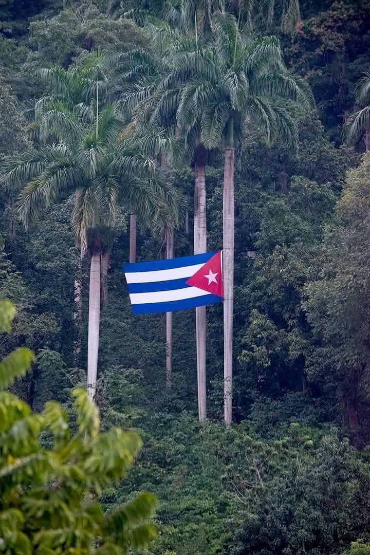 Yanetsy Terry Gutiérrez tweet media