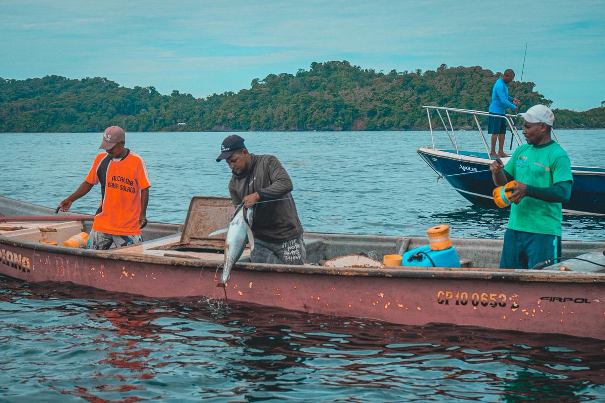 AUNAPColombia's tweet photo. #DíaMundialDelPescador | Hoy celebramos la dedicación y el esfuerzo de quienes, con sus manos y saberes, sostienen la pesca como un motor de vida y desarrollo en Colombia. Sigue 👇 https://t.co/rBci8g9DZL