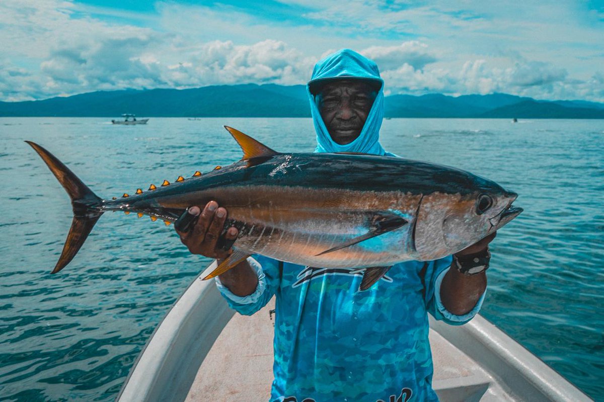 AUNAPColombia's tweet photo. #DíaMundialDelPescador | Hoy celebramos la dedicación y el esfuerzo de quienes, con sus manos y saberes, sostienen la pesca como un motor de vida y desarrollo en Colombia. Sigue 👇 https://t.co/rBci8g9DZL