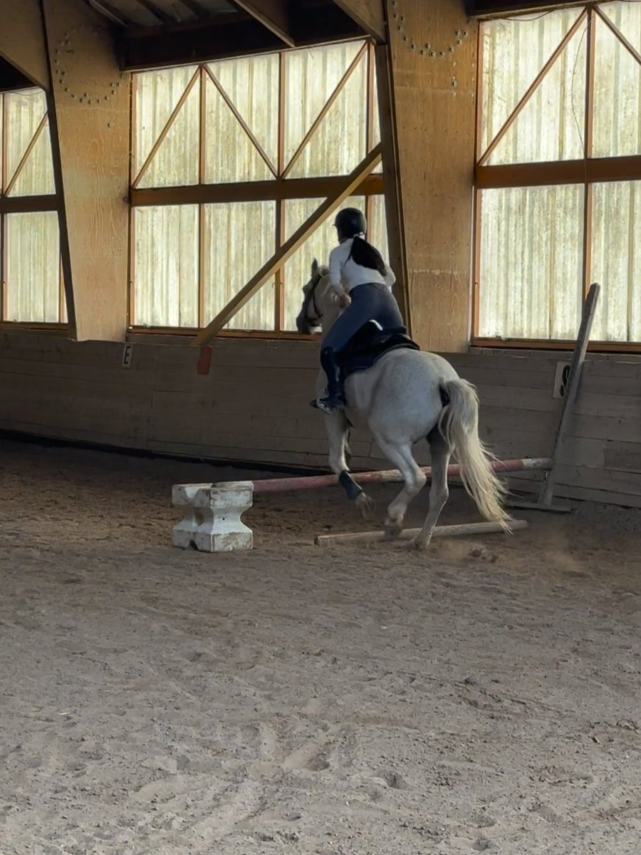 annaolinei's tweet image. She galloped 🏇, the wind brushed her hair 💨, at that moment, she is fearless, is unfettered 🕊️.