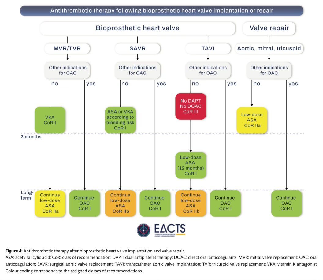 The Heart tweet media