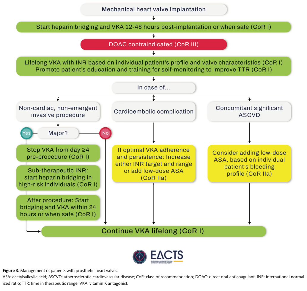 🔴2024 EACTS Guidelines on perioperative medication in adult cardiac surgery⤵️  #openaccess 

🔹academic.oup.com/ejcts/article/…
 #Cardiology #FOAMed #MedEd #medstudent #paramedic #Cardiology #CardioEd #medtwitter #meded #CardioTwitter #cardiotwiteros  #MedX #cardiovascular