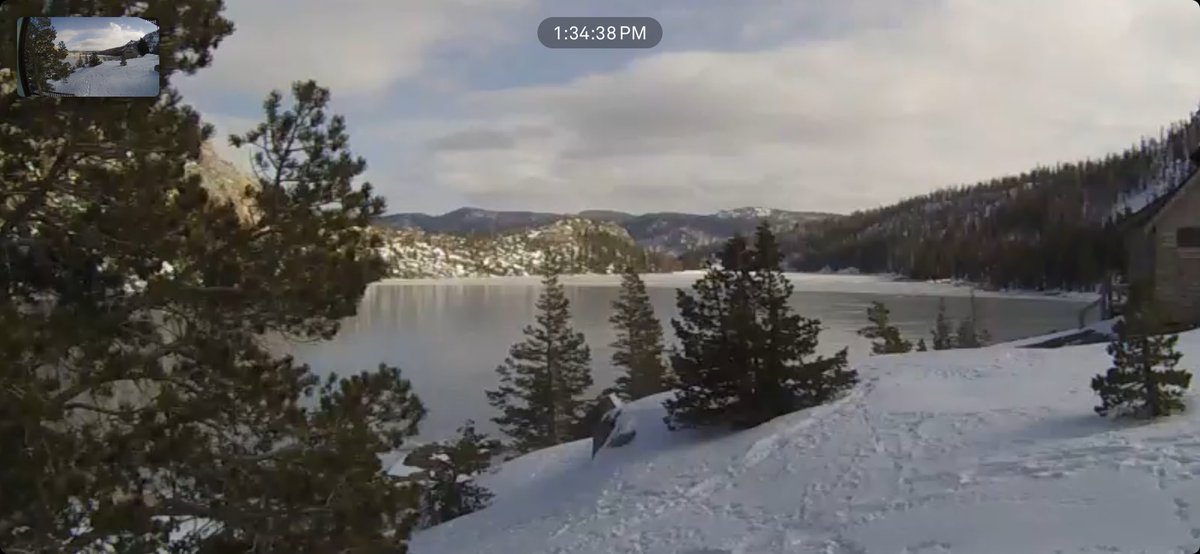 Echo Cam tweet media