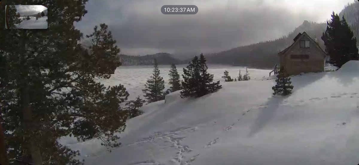 Echo Cam tweet media