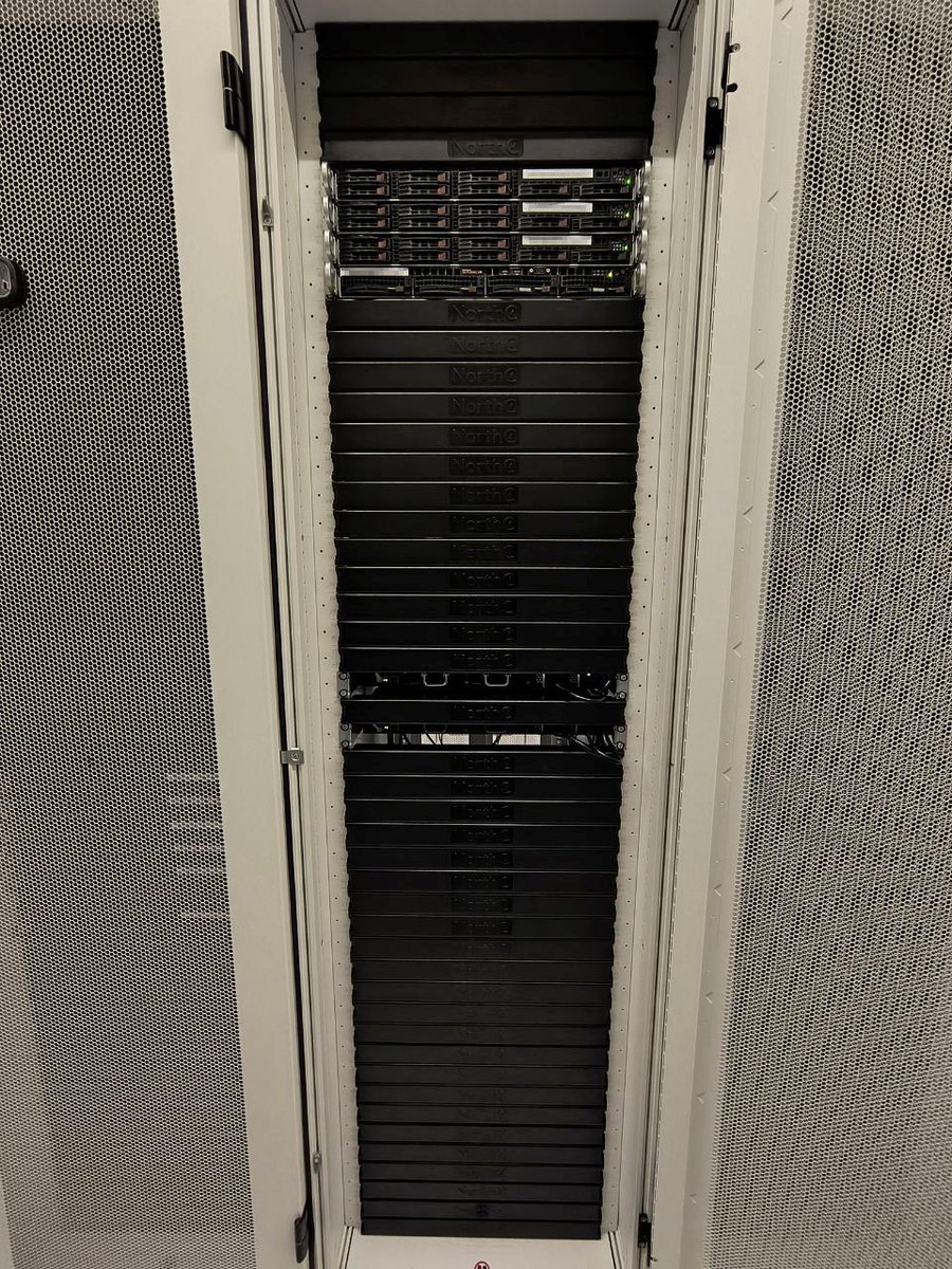 zylon internet tweet media