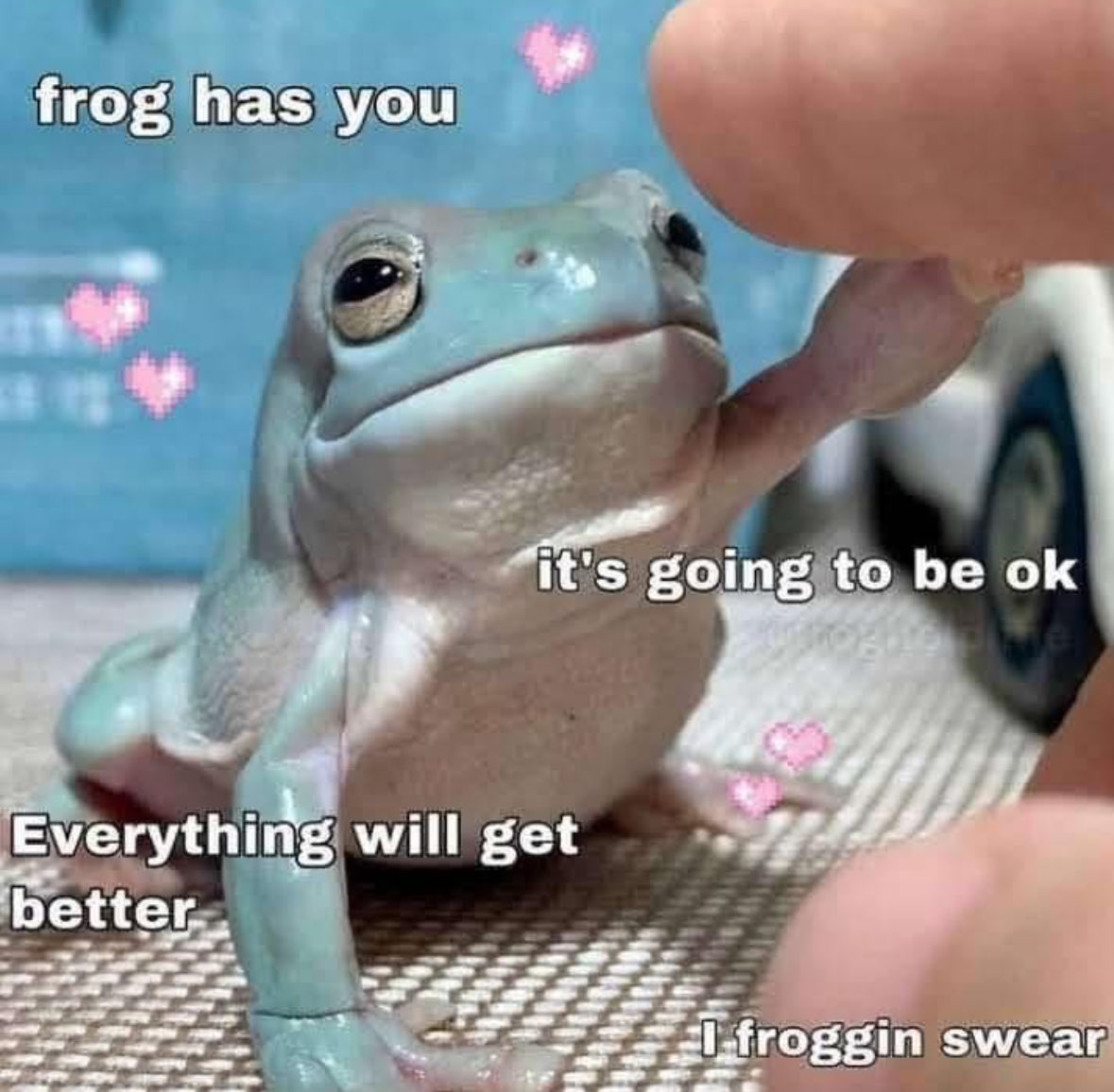 RespectfulMemes's tweet image. 