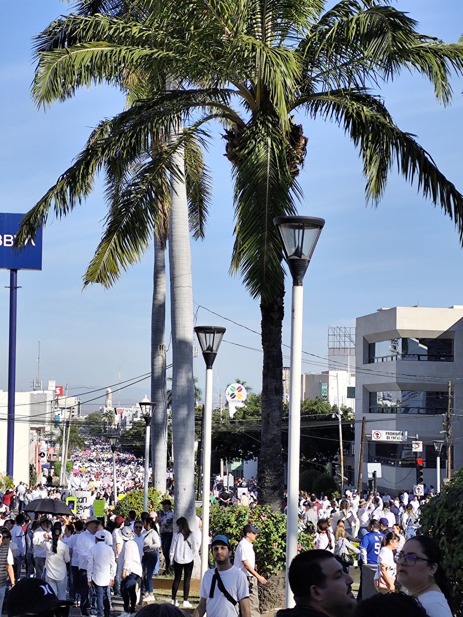 NancyPamelaLo's tweet photo. Hoy en #Culiacan salimos a pedir #Paz y la renunci de #Rocha a la Gobernatura de #Sinaloa

No éramos 2 mil como algunos medios de otras ciudades han manejado, tampoco se la cifra exacta, pero éramos cuadras y cuadras de personas de todas las edades unidas ante una misma exigencia https://t.co/mpRiQlZwfQ