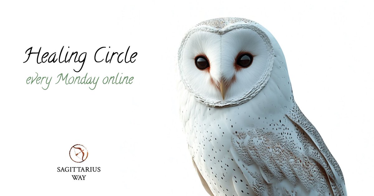 Sagittarius Way tweet media