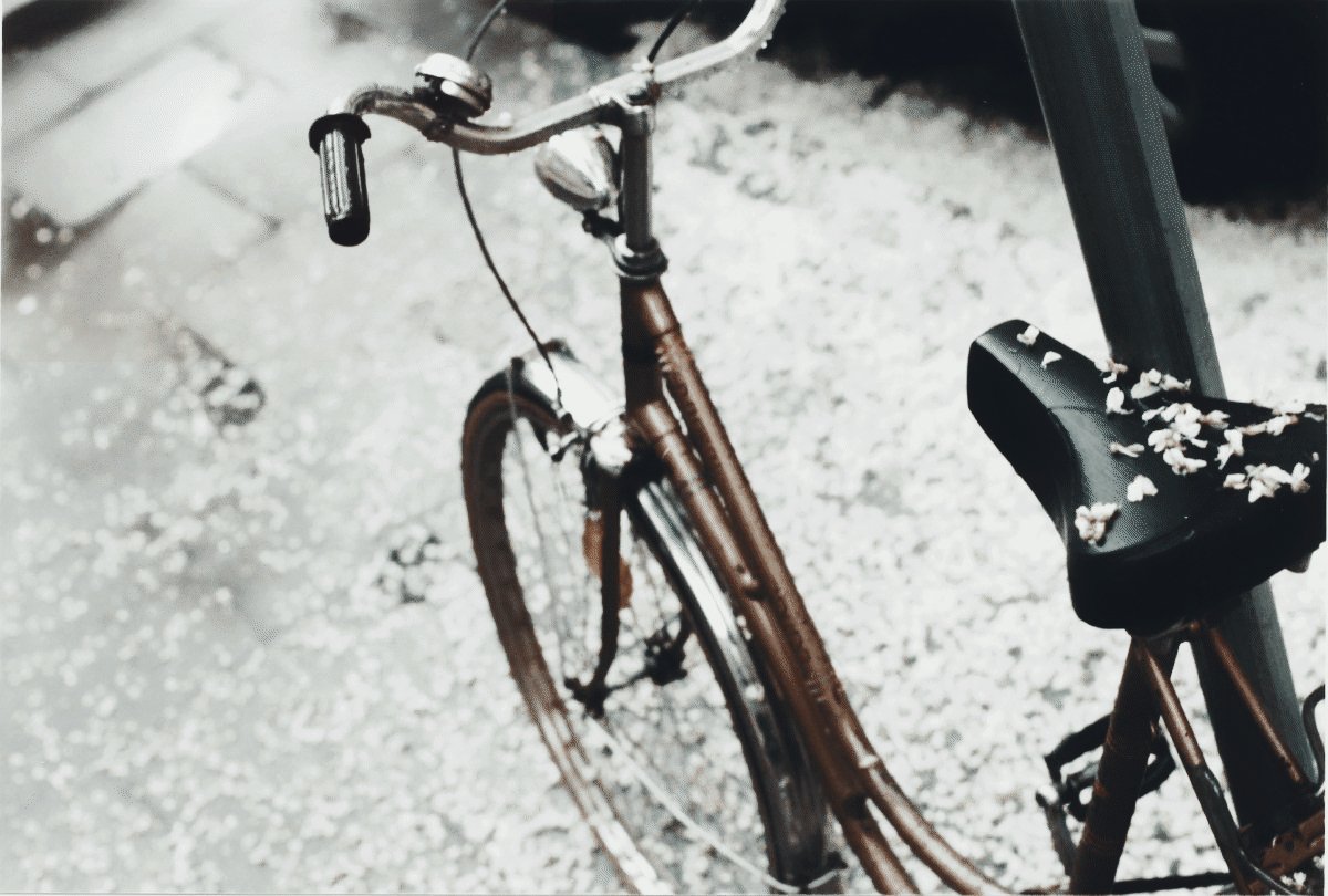 ⠀⠀⠀ ⠀⠀⠀ ❛––––––––––– 𝑠ℎ𝑒 ℎ𝑎𝑑 𝑙𝑜𝑣𝑒𝑑 𝒕𝒉𝒆 𝒎𝒐𝒐𝒏 𝑠𝑜 𝑓𝑜𝑛𝑑𝑙𝑦 𝑡𝑜 𝑏𝑒 𝑓𝑒𝑎𝑟𝑓𝑢𝑙 𝑜𝑓 𝑡ℎ𝑒 𝑛𝑖𝑔ℎ𝑡.⠀