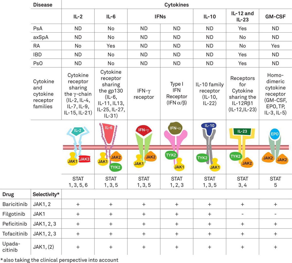 Cytokines that activate and drugs that target Janus kinases (JAKs) presumably involved in the pathogenesis of immune-mediated inflammatory diseases (IMIDs). From EULAR points to consider for the treatment of IMIDs wit JAKs

ard.bmj.com/content/80/1/71
