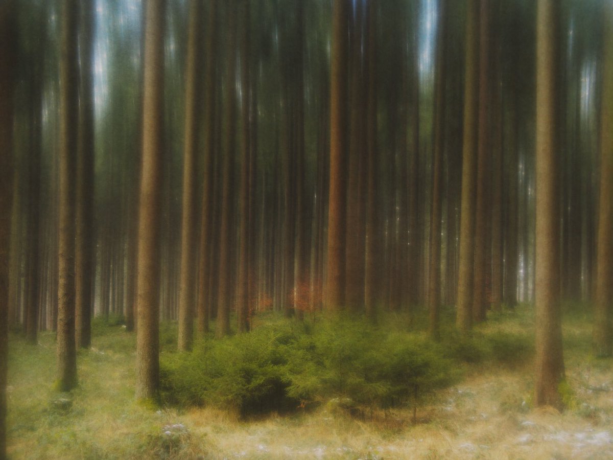 Thaddäus tweet media