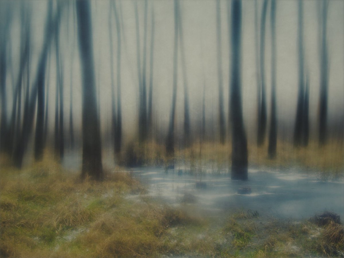 Thaddäus tweet media