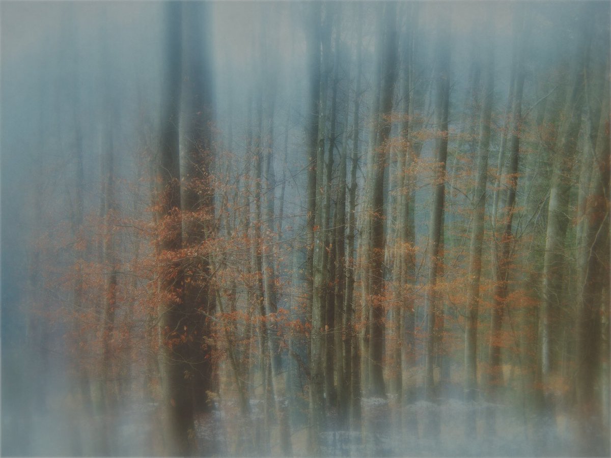 Thaddäus tweet media