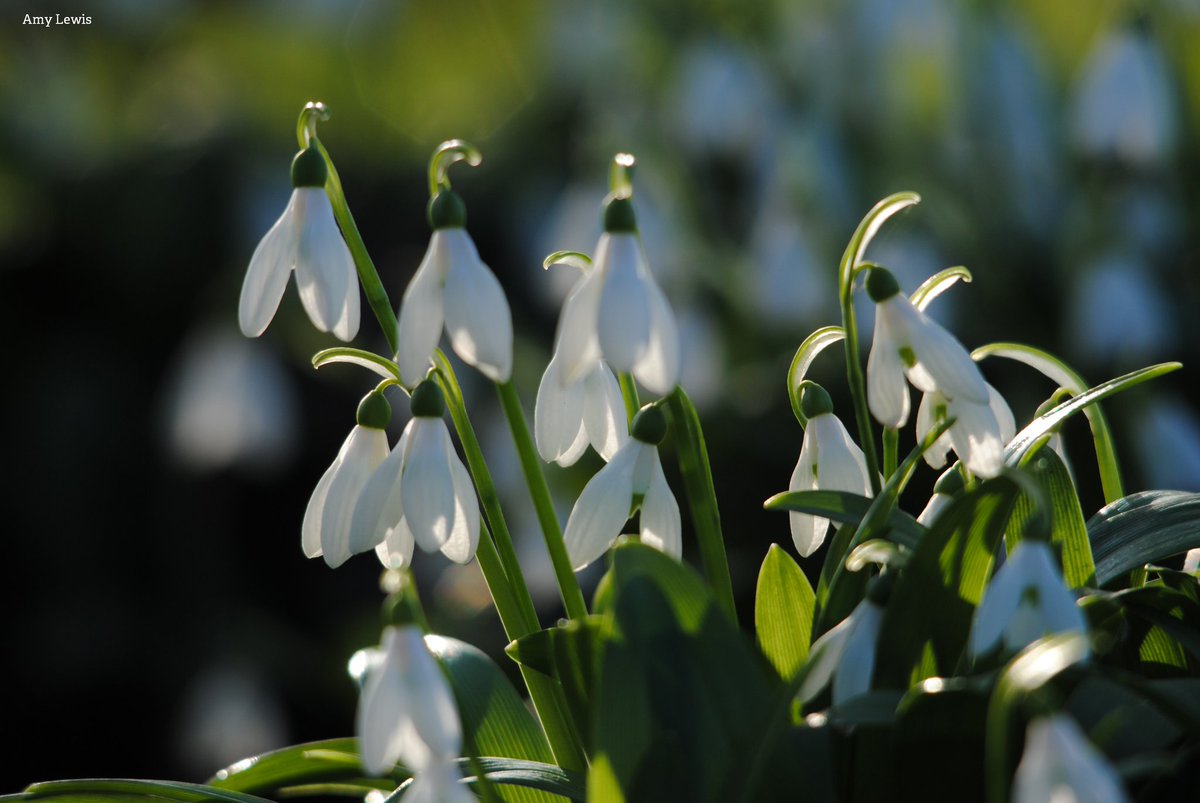 The Wildlife Trusts tweet media