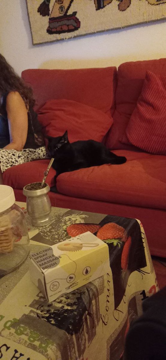 Y viste cómo está el país *ruido de mate*