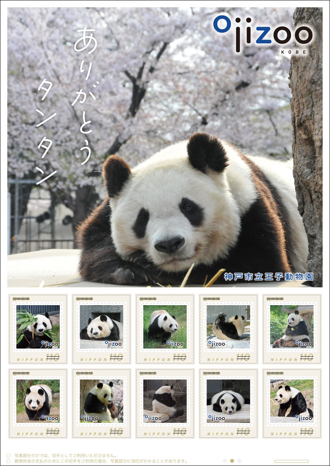 写真集『神戸市立王子動物園のシャイなパンダ タンタン』本日発