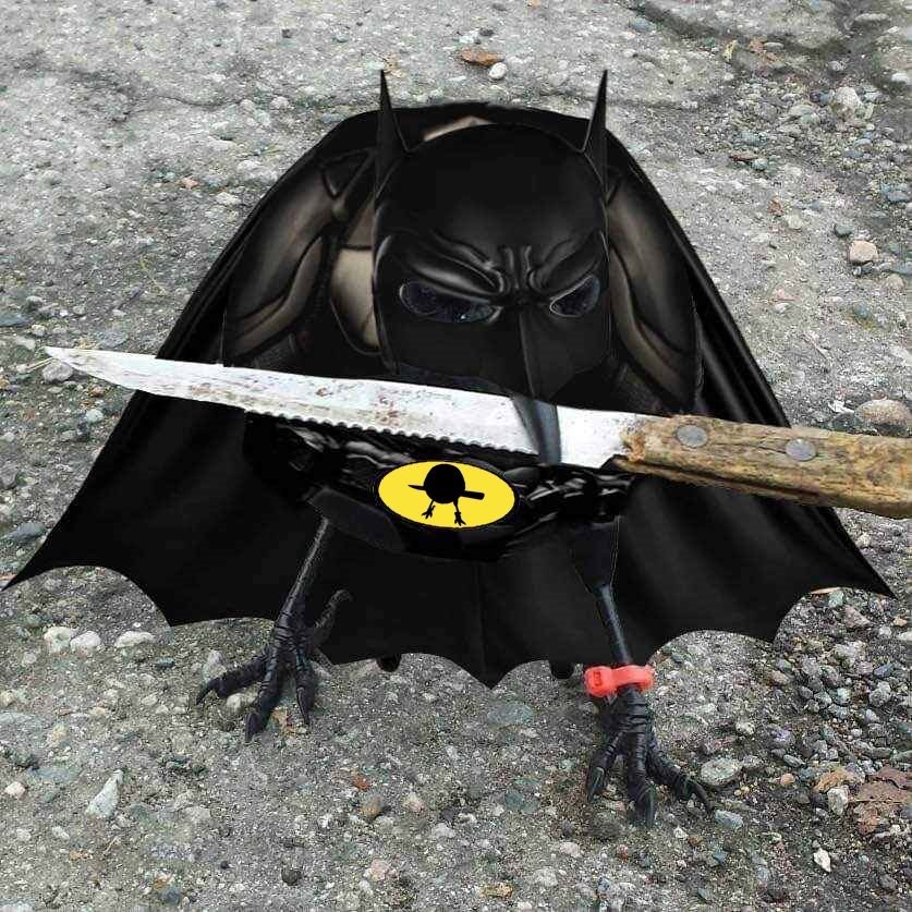 crow with knife tweet media