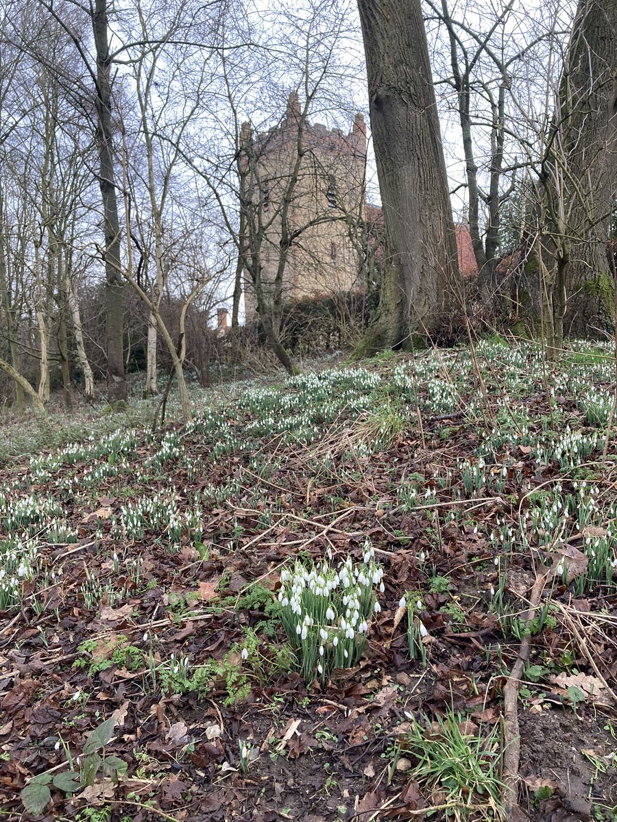 Phillip Smith (@researchphil) on Twitter photo Early #nhs1000miles post for me tonight as I share a couple of photos from <a href="/GCparkrun/">GreatCornard parkrun</a> for me this week and some snowdrops too!
Hope everybody keeping well π Early #nhs1000miles post for me tonight as I share a couple of photos from <a href="/GCparkrun/">GreatCornard parkrun</a> for me this week and some snowdrops too!
Hope everybody keeping well π