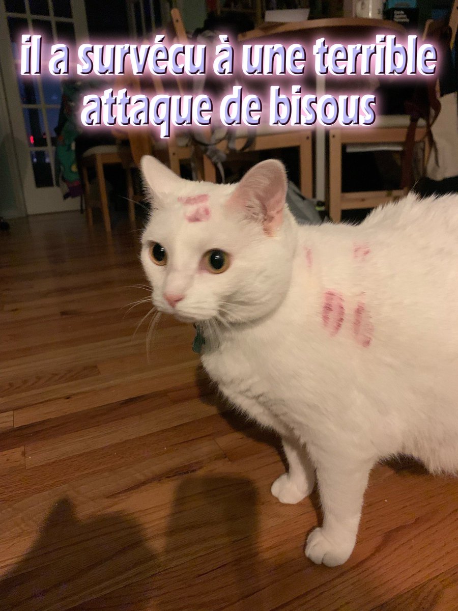 WiNY ʕ ᵔᴥᵔ ʔ tweet media